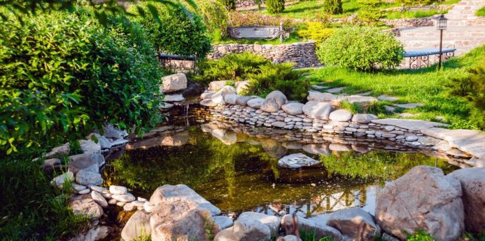 11-Créer un Bassin de Jardin à Faible Entretien