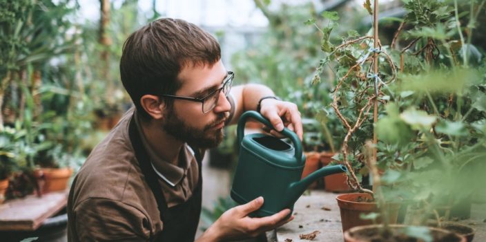 Est-ce que la taille du pot influence la fréquence d’arrosage ?