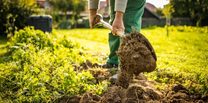 L'importance de la préparation du sol dans l'aménagement paysager : les bases du terrassement