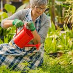 Est-il préférable d’arroser mes plantes avant ou après les avoir fertilisées ?