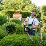 Jardinage et entretien du jardin : comment bien préparer le jardin pour le printemps ?