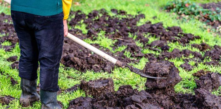 Les bienfaits durables du purin d'ortie sur la fertilité du sol