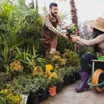 Comment bien choisir un pépiniériste pour votre jardin