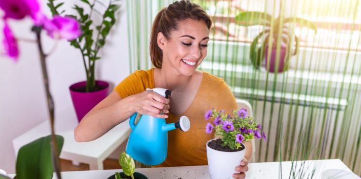 Est-ce que les plantes en période de floraison nécessitent plus d'eau que celles qui ne fleurissent pas ?