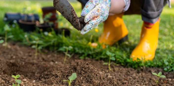 Assainissement du sol : la clé d’un jardinage florissant