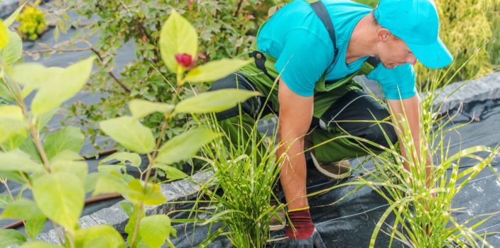 8-Créer un Bassin de Jardin Multizone