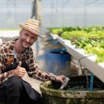 Créer un bassin de jardin pour papillons et insectes bénéfiques