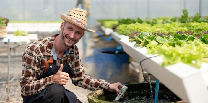 Créer un bassin de jardin pour papillons et insectes bénéfiques