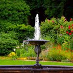 Comment choisir les fleurs autour d’une fontaine ?