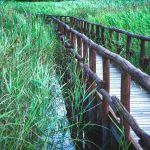 Combien coûte réellement la construction d’un ponton de jardin ?