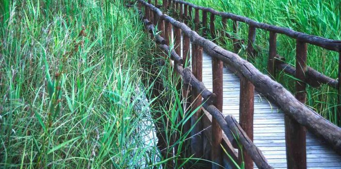 Construction d'un ponton de jardin