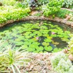 Comment remplir et ajuster votre bassin de jardin parfaitement ?