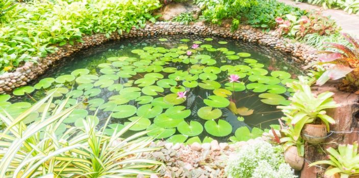 25-Comment remplir et régler parfaitement votre bassin de jardin (1)