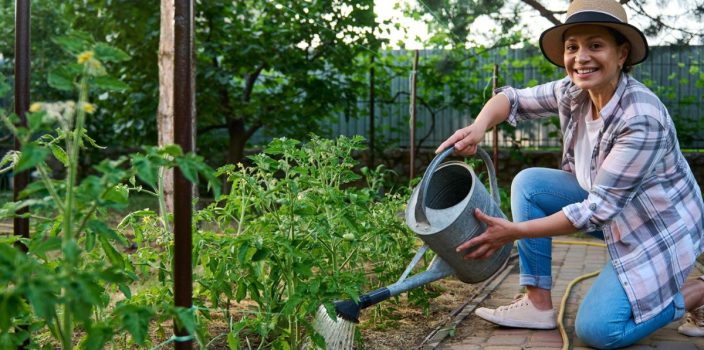 25-Drainage intelligent pour les jardins urbains