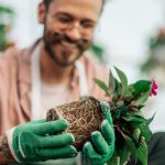 Assainissement et choix des plantes : trouver les espèces adaptées à votre terrain