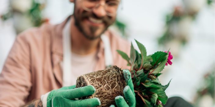 Assainissement et choix des plantes : trouver les espèces adaptées à votre terrain