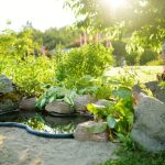 Matériaux incontournables pour construire un bassin de jardin durable