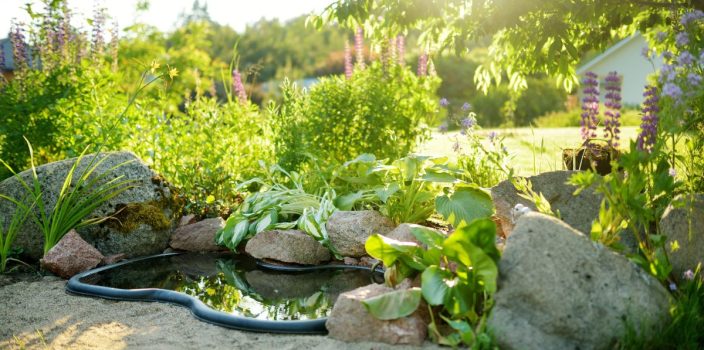 Matériaux incontournables pour construire un bassin de jardin durable