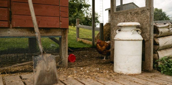 Nettoyage des cabanes et abris pour animaux dans le jardin : un entretien essentiel