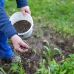 Purin d’ortie : une alternative durable pour un jardin en harmonie avec la nature