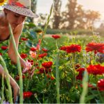 Comment préparer votre jardin pour l’été ?