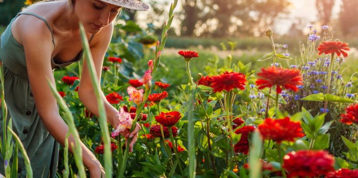 Comment préparer votre jardin pour l’été ?