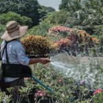 Comment maintenir votre jardin en bon état pendant les vacances ?