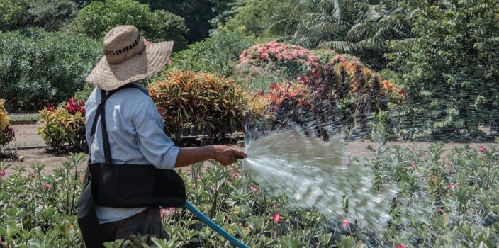 Comment maintenir votre jardin en bon état pendant les vacances ?