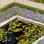 Les meilleures plantes de bordure pour bassin de jardin