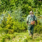 Quels sont les signes d’un jardin mal entretenu ?