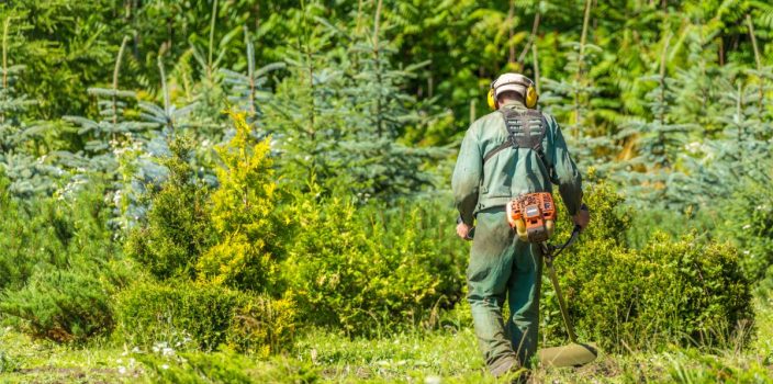 Quels sont les signes d’un jardin mal entretenu ?