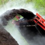 De l’arbre abattu au mulch : comprendre le processus de broyage des arbres démontés