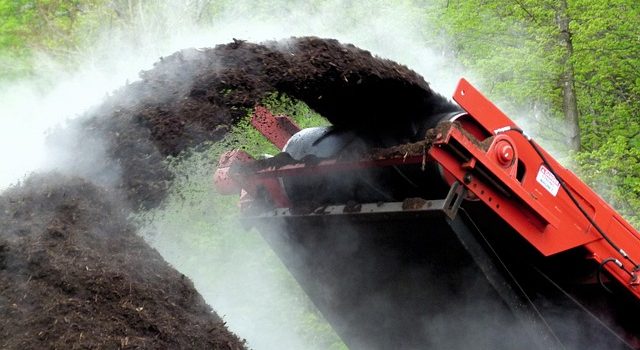 De l’arbre abattu au mulch : comprendre le processus de broyage des arbres démontés