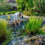 Entretien régulier d’un bassin de jardin pour des années de beauté