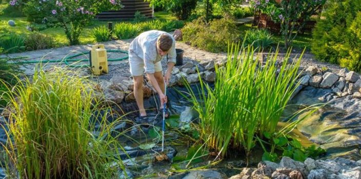 Entretien régulier d’un bassin de jardin pour des années de beauté