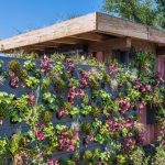 Jardins verticaux : apporter la nature en plein cœur des villes