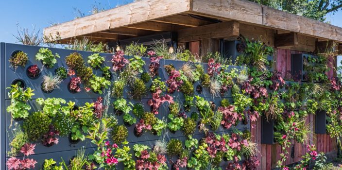 Jardins verticaux : apporter la nature en plein cœur des villes