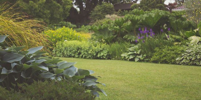 Aménagement paysager pour les petits espaces : optimiser chaque mètre carré